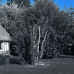 La Petite Maison *