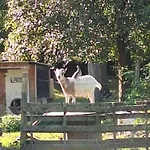 La Petite Maison Сasa de vacaciones Bosroumois