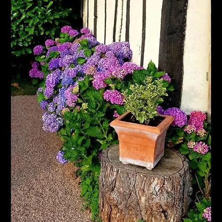 La Petite Maison