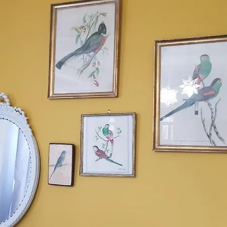 La Petite Maison Nyaraló *