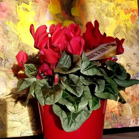 La Petite Maison Casa vacanze Bosroumois