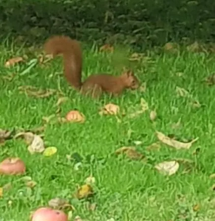 La Petite Maison Casa vacanze *