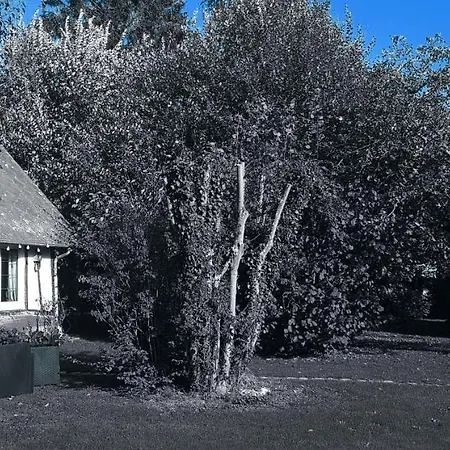 La Petite Maison *