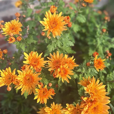 La Petite Maison Casa vacanze